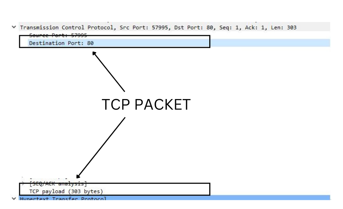 tcp packet containing destination port as 80 (http port), desination port as 57995 (random port) and tcp payload byte as 303 which is request data of http